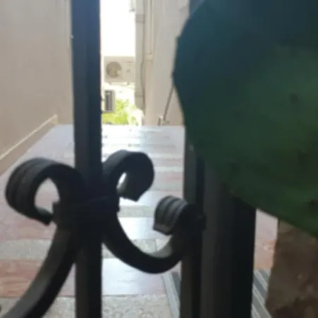 Apartment Stevic - Monaco Budva